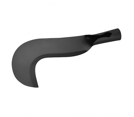 FOICE PARABONI PICO LORO